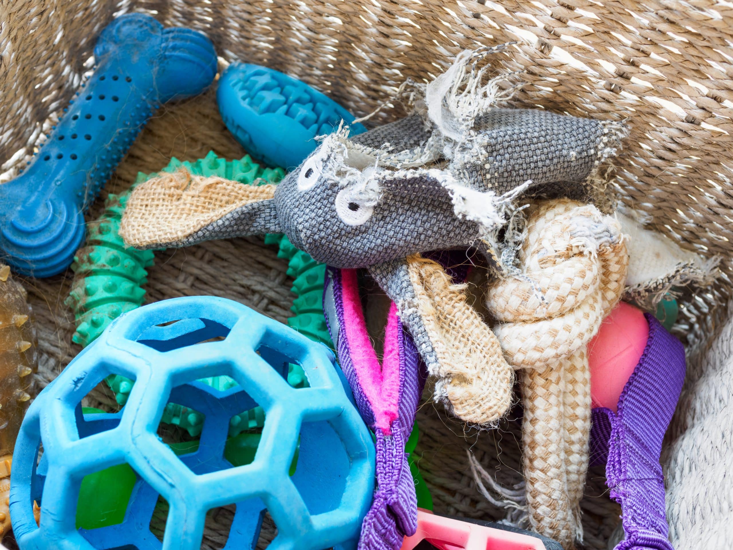Bin with dogs toys, some safe and some unsafe